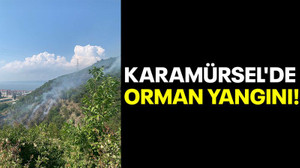 Karamürsel'de orman yangını!